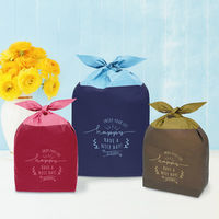 エスパック 梨地あずま袋型ギフトバッグ L ブラウン 60枚入 NA-BL-AS 1セット(60枚)（直送品）