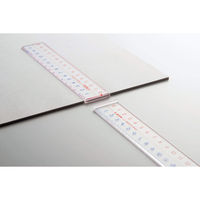 ライオン事務器 アクリル直線定規 15cm L-5S ピンク 日本製 27066 1セット(5本)（直送品）