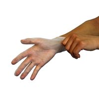 【使いきりビニール手袋】 ショーワグローブ ナイスハンドきれいな手つかいきりグローブ ビニール 粉なし L 1箱（100枚入）