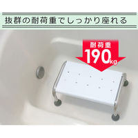 イー・エム・エー バスタブチェア SR-SBC503 1個