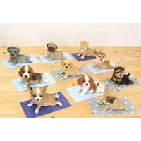 紅石 きゅうけいヨークシャー　ＱＹー１９７　1個（直送品）