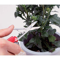 ビクトリノックス victorinox エグゼクティブ BK #0.6603.3 1個（直送品）