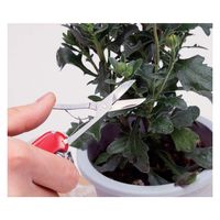 ビクトリノックス victorinox エグゼクティブ #0.6603 1個（直送品）