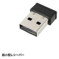 サンワサプライ ワイヤレス静音キーボード（2.4GHzワイヤレス・テンキーあり） SKB-WL37BK 1個（直送品）