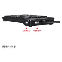 サンワサプライ USBテンキー(Type-Cコネクタ・USB2.0ハブ付き) NT-18CUHBK 1個（直送品）