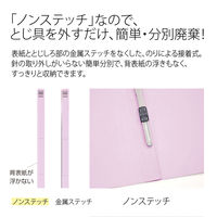 プラス エコノミーフラットF A4S VL No.021E 1パック(10冊入)（直送品）