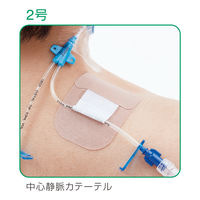 アルケア クイックフィックス 2号 19392 1箱(100枚入)