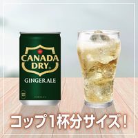 【炭酸飲料】　カナダドライ ジンジャーエール 160ml 1セット（60缶）
