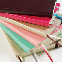 日本ノート camino B6ダイアリーミントグリーン PBF92MG19（直送品）