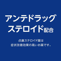 ナザールαAR0.1%〈季節性アレルギー専用〉 10ml 佐藤製薬　点鼻薬 ステロイド 花粉による鼻水 鼻づまり【指定第2類医薬品】