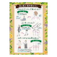 パスタイムFXこはる 40枚 アロマ香る貼り薬 フェルビナク配合 肩の痛み 腰痛【第2類医薬品】