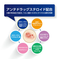 オイラックスPZリペア軟膏 10g 第一三共ヘルスケア　塗り薬 つらいかゆみ 手湿疹 かぶれ 皮膚炎【指定第2類医薬品】