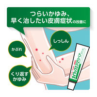 【期限切迫のため特別価格】オイラックスPZリペアクリーム 10g 第一三共ヘルスケア　塗り薬 かゆみ 手湿疹 かぶれ 皮膚炎【指定第2類医薬品】