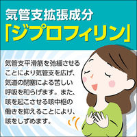 アストフィリンS 45錠 エーザイ 鎮咳去痰薬　喘鳴をともなうせき・たん【指定第2類医薬品】