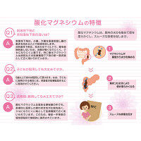 酸化マグネシウムE便秘薬 90錠 健栄製薬　非刺激性便秘薬 レモン風味のチュアブル錠 カマグ【第3類医薬品】