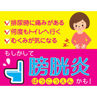 腎仙散 12包 摩耶堂製薬　生薬製剤 膀胱炎 むくみ 腎炎【第2類医薬品】