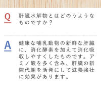 ヘパフィット（PTP包装） 60錠 皇漢堂薬品　肝臓水解物配合 滋養強壮 胃腸障害 肉体疲労 栄養補給【第3類医薬品】