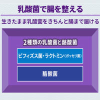 太田胃散整腸薬 160錠 太田胃散　おなかが弱い方に 軟便・便通を整える・便秘・腹部膨満感【第3類医薬品】