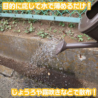 バルサン 水性うじ殺し乳剤 500ml レック　殺虫剤 うじ ボウフラ ハエ・蚊の成虫 ゴキブリ ノミ トコジラミ 駆除【第2類医薬品】