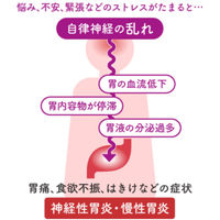太田漢方胃腸薬II〈錠剤〉 54錠 太田胃散　漢方薬 ストレスなどによる胃痛・胃もたれに 神経性胃炎 慢性胃炎【第2類医薬品】