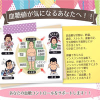 糖解錠 170錠 摩耶堂製薬　糖尿病による口渇・頻尿・多尿【第2類医薬品】