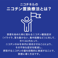 ニコチネルガム  ミント 90個 Haleonジャパン　ペパーミント風味 禁煙補助薬 禁煙ガム ニコチン置換療法【指定第2類医薬品】