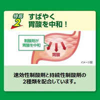 ガストール細粒 20包 エスエス製薬【第2類医薬品】