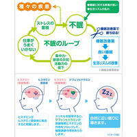 ドリエル 6錠 エスエス製薬【指定第2類医薬品】