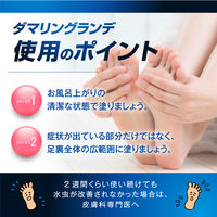ダマリングランデX 15g 大正製薬 クリームタイプ ジュクジュクした水虫 たむしに【指定第2類医薬品】