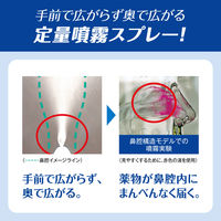 パブロン点鼻 30ml 大正製薬　鼻炎治療薬 点鼻薬 スプレー アレルギー性鼻炎 鼻みず 鼻づまり 副鼻腔炎【第2類医薬品】
