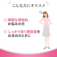 スルーラックS 240錠 エスエス製薬【指定第2類医薬品】