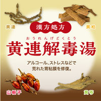 大正漢方胃腸薬 内服液 30ml 大正製薬 飲みすぎ はきけ 二日酔いのむかつき【第2類医薬品】