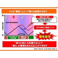 黄帝酒 280ml 佐藤製薬 薬用酒 虚弱体質 肉体疲労 病中病後 胃腸虚弱 食欲不振 血色不良 冷え症【第3類医薬品】