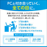 サンテPC 12ml 参天製薬  目薬 パソコン・スマホによる光ダメージ 目の疲れ 充血 眼病予防 目のかすみ【第2類医薬品】