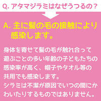 スミスリンL シャンプータイプ 80ml 大日本除虫菊　専用くし付き シラミ 頭ジラミ 毛ジラミ 駆除【第2類医薬品】