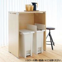 エコン ダストボックス ペダル2枚フタ 70L ゴミ箱 ブラウン 1個 左右両開き ペタル式フタ付 連結式 日本製 幅338×奥行508×高さ661mm