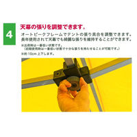 三鬼化成 ワンタッチ組立てテント かんたんてんと KA/4W 緑 312254 1張（直送品）