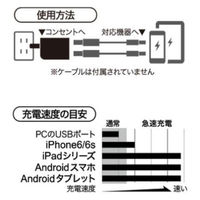 ２．４Ａ　ＵＳＢ急速充電器　ＡｕｔｏＰｏｗｅｒＳｅｌｅｃｔ機能搭載　２ポートタイプ　自動判別ＵＳＢｘ２　ブラック BSMPA2402P2BK（直送品）