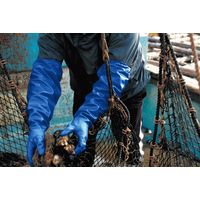 【ニトリル手袋】 ショーワグローブ 腕カバー付手袋 ニトローブTYPE-R65 No.774 ブルー L 1双