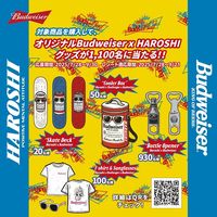 輸入ビール バドワイザー 330ml 1箱（24缶入）【ビール】