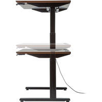サンワサプライ 電動上下昇降デスク 濃い木目 幅1400×奥行800×高さ630～1280mm ERD-M14080M 1台（直送品）