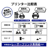 エレコム レーザー専用紙/片面光沢/厚手/A4/30枚 ELK-GRAA430 1パック（30枚入）