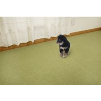 サンコー ペット用撥水タイルマット 同色40枚入り グリーン KP-55 1パック