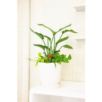 アップルウェアークラフトポット 24型 ホワイト 6L 240mmΦ×260mm 鉢