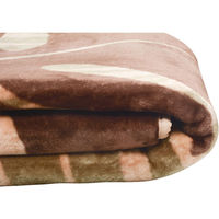 萩原 ホットカーペットカバー ボタニカル 幅2000×奥行2500mm ベージュ 240608514 1枚（直送品）