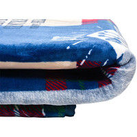 萩原 ホットカーペットカバー エクスプローラー 幅2000×奥行2500mm ブルー 240608915 1枚（直送品）