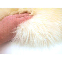 萩原 ムートンフリース SX-1009 幅600×奥行900mm ホワイト 240609307 1枚（直送品）