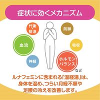 和漢箋 ルナフェミン 168錠 ロート製薬　漢方薬 温経湯 うんけいとう 月経不順 手足のほてり 足腰の冷え【第2類医薬品】
