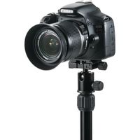 サンワダイレクト カメラ三脚 200-DGCAM011 1個（直送品）