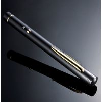 サンワサプライ レーザーポインター 200-LPP022 緑色レーザー ペン型 単4乾電池×2 連続使用3時間（直送品）